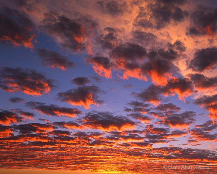 MN-03-33-LK Saturated colors over Lake Florida at dusk, Kandiyohi County, Minnesota